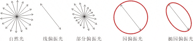 什么是偏振光？偏振光是如何完成檢測的？