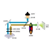 什么是熒光定量PCR、數(shù)字PCR？